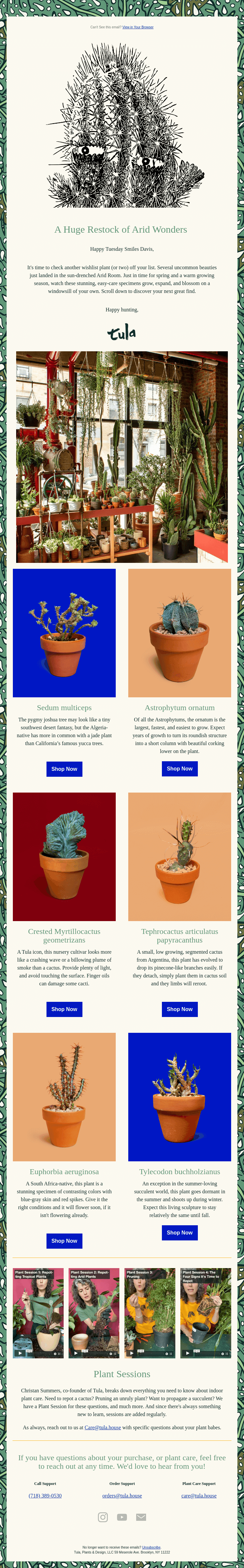 A Huge Restock of Small Arid Wonders